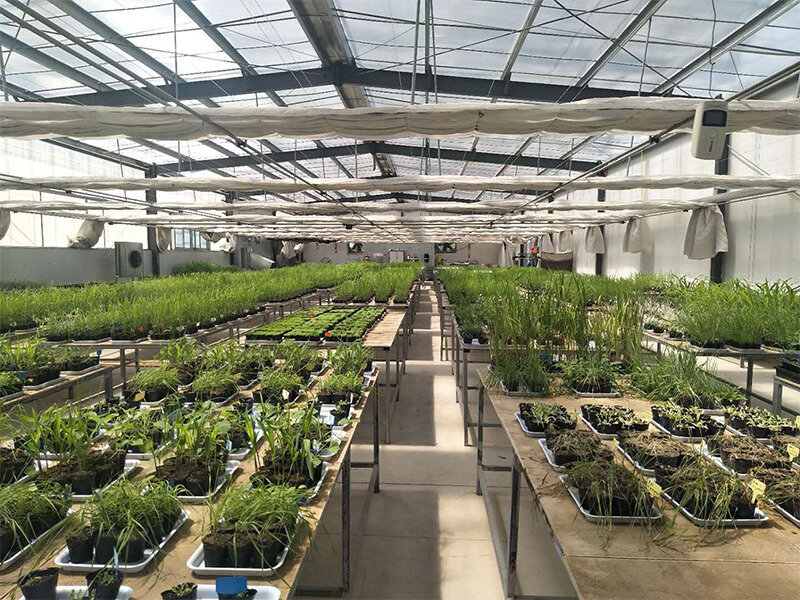 Constant Temp Greenhouse in Beijing 1