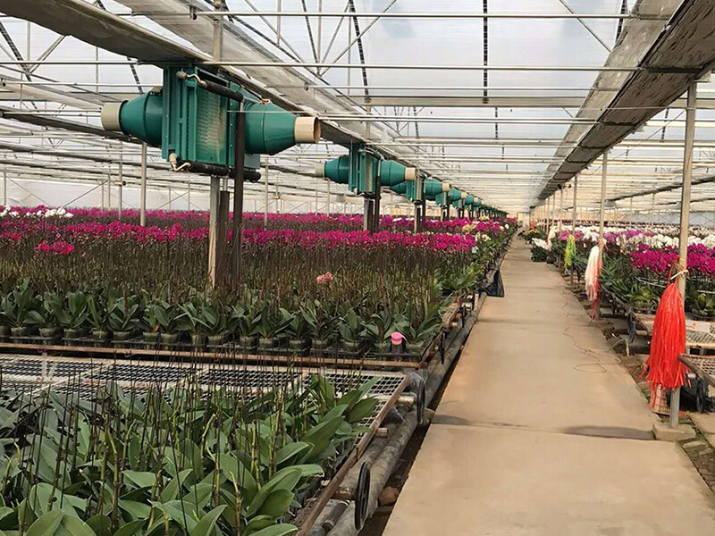 Constant Temp Greenhouse in Beijing 2