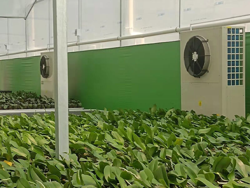Constant Temp Greenhouse in Guangdong 2
