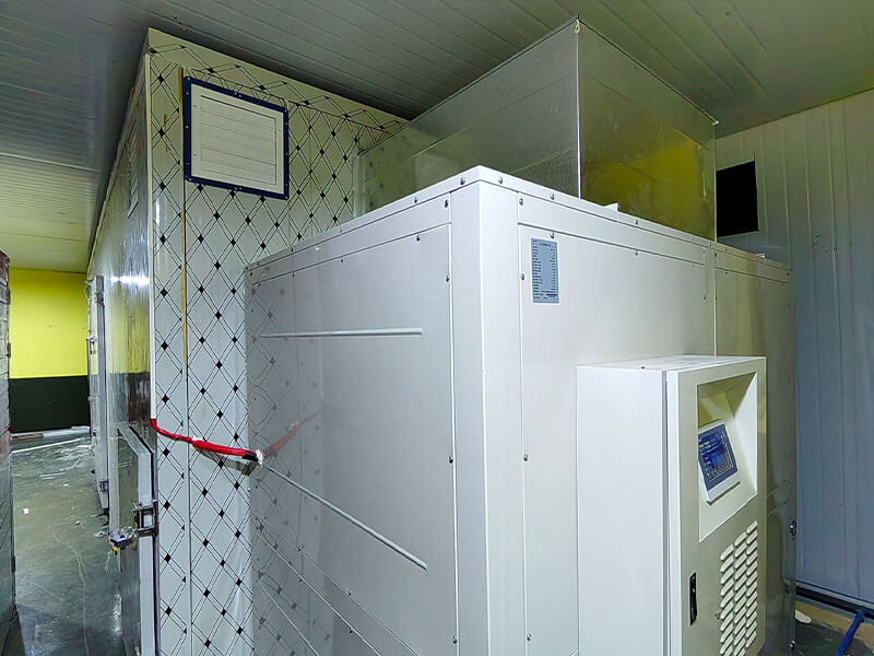 Intelligent Drying - Fruits 2