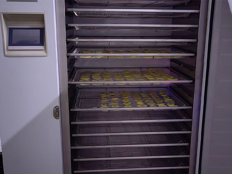 Intelligent Drying - Fruits 3