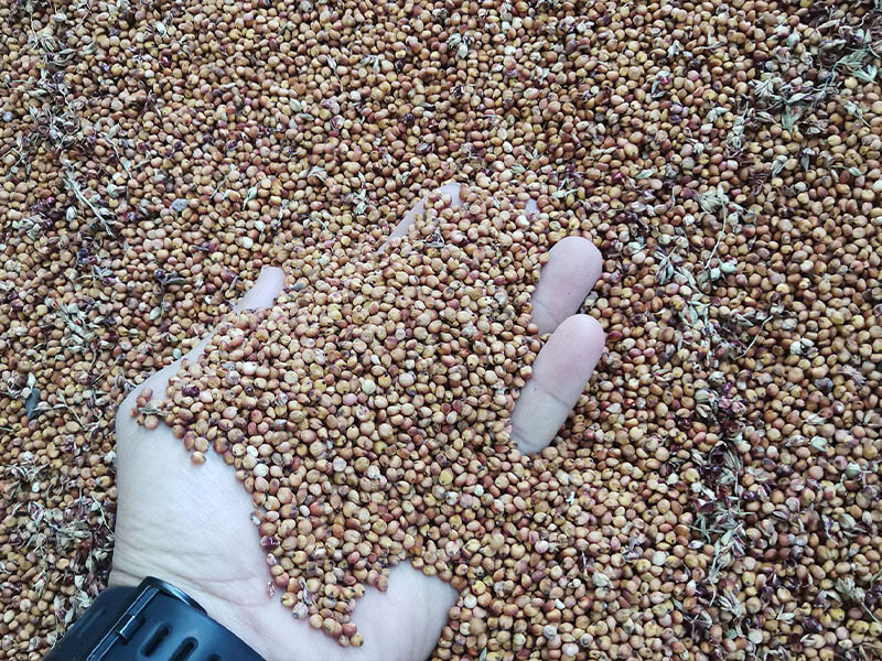 Intelligent Drying - Grain 3