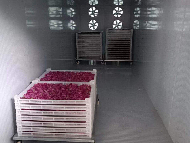 Intelligent Drying - Rose 2